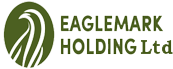 Eagle Mark Holding Logo
